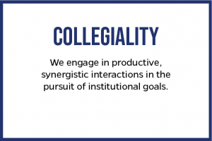 COLLEGIALITY