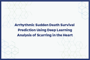 Arrhythmic Sudden Death Survival Prediction Using Deep Learning Analysis of Scarring in the Heart
