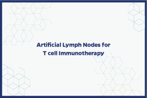Artificial Lymph Nodes for T cell Immunotherapy