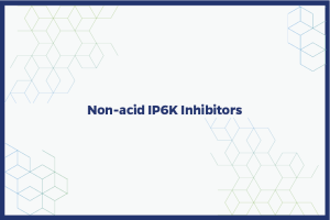 Non-acid IP6K Inhibitors