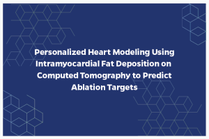 Personalized Heart Modeling Using Intramyocardial Fat Deposition on Computed Tomography to Predict Ablation Targets