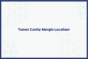Tumor Cavity Margin Localizer