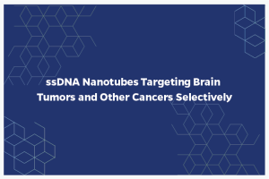 ssDNA Nanotubes Targeting Brain Tumors and Other Cancers Selectively