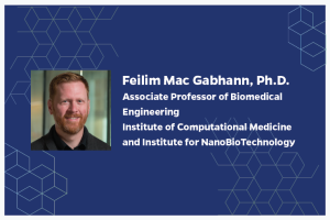 Feilim Mac Gabhann, Ph.D. Associate Professor of Biomedical Engineering Institute of Computational Medicine and Institute for NanoBioTechnology