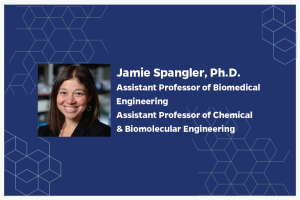 Jamie Spangler, Ph.D. Assistant Professor of Biomedical Engineering Assistant Professor of Chemical & Biomolecular Engineering
