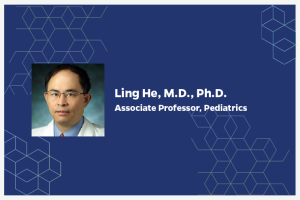 Ling He, M.D., Ph.D. Associate Professor, Pediatrics