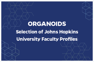 ORGANOIDS Selection of Johns Hopkins University Faculty Profiles